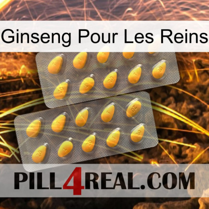 Ginseng For Kidney cialis2